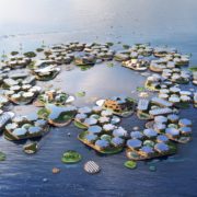 The UN is supporting a design for a new floating city that can withstand Category 5 hurricanes
