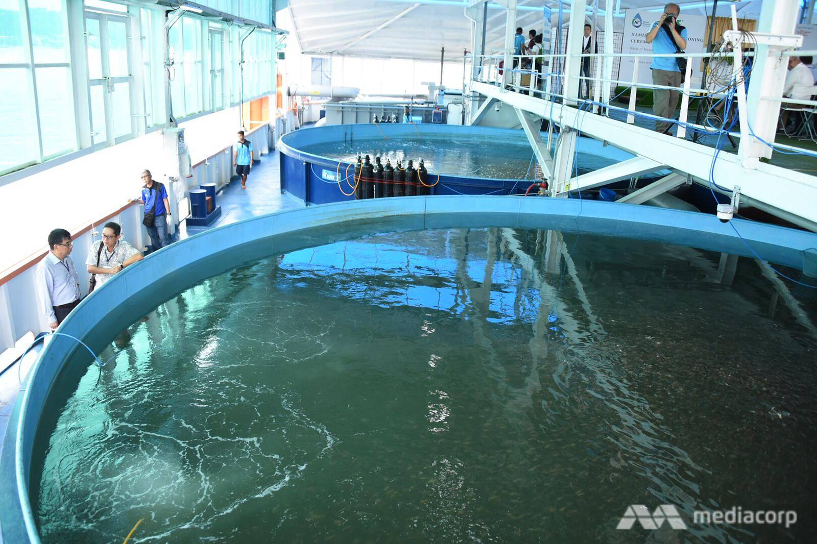New offshore fish farm to yield up to 20 times more fish than other coastal farms