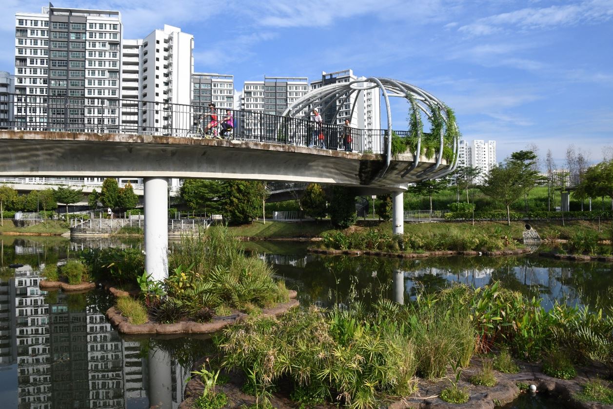 HDB Floating Wetlands