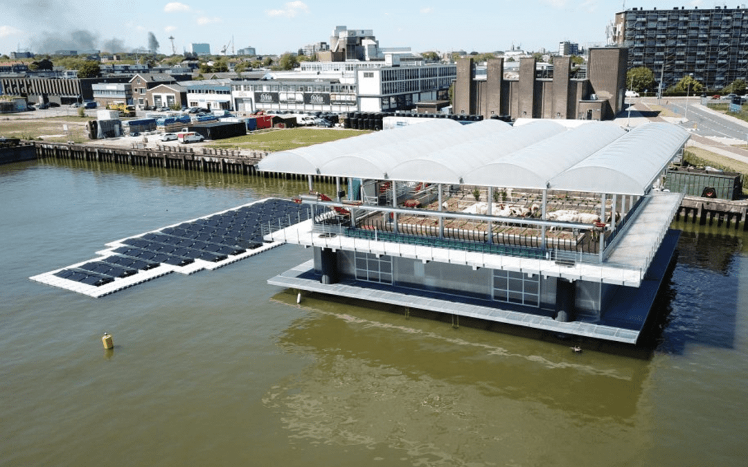 Is Floating Architecture a Gimmick or a Serious Way to Address Sea Level Rise?