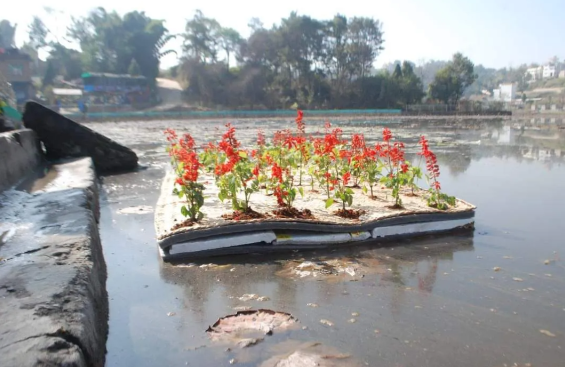 Polluted Lakes Are Being Cleansed Using Floating Wetlands Made of Trash